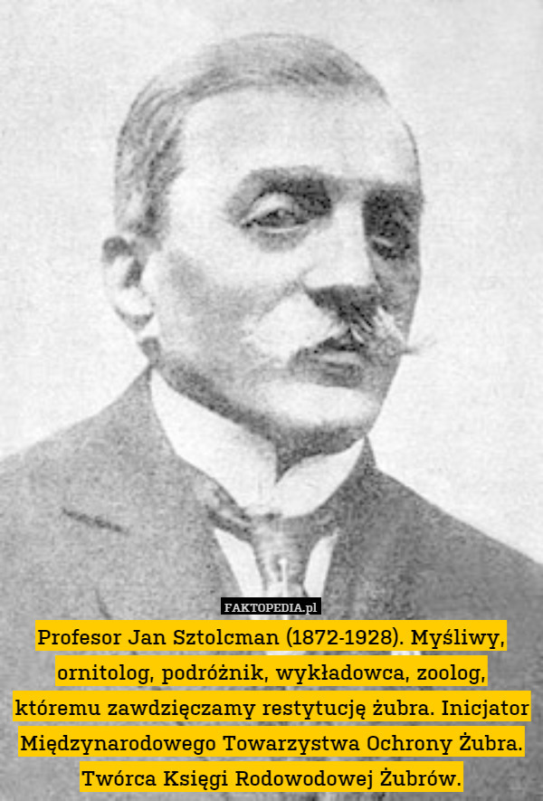 Profesor Jan Sztolcman (1872-1928) Myśliwy, ornitolog, podróżnik, wykładowca,