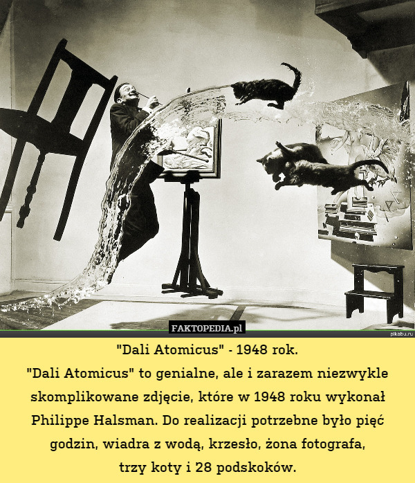 "Dali Atomicus" - 1948 rok.
"Dali Atomicus" to genialne,