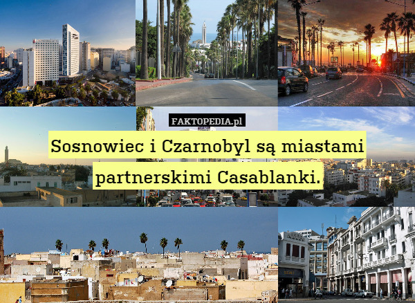 Sosnowiec i Czarnobyl są miastami partnerskimi Casablanci