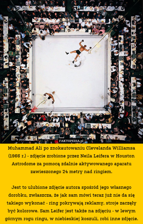 Muhammad Ali po znokautowaniu Clevelanda Williamsa (1966 r.) - zdjęcie zrobione