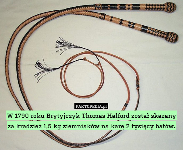 W 1790 roku Brytyjczyk Thomas Halford został skazany za kradzież 1,5 kg