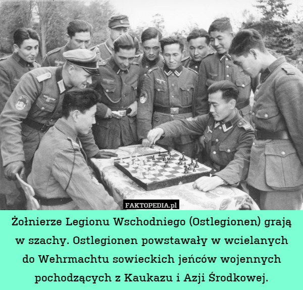 Żołnierze Legionu Wschodniego (Ostlegionen) grają w szach. Ostlegionen powstawały