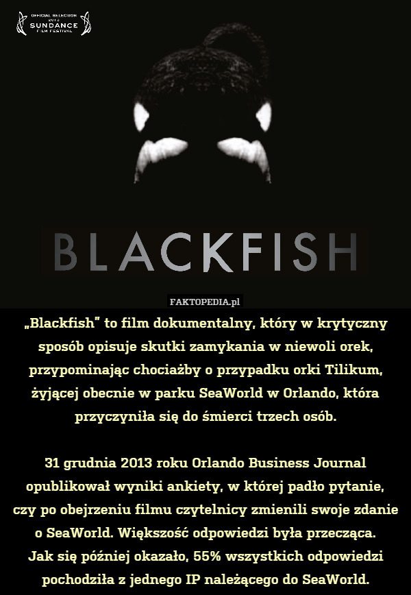 „Blackfish” to film dokumentalny, który w krytyczny sposób opisuje skutki