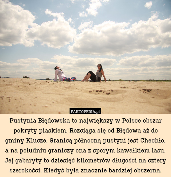 Pustynia Błędowska to największy w Polsce obszar pokryty piaskiem.
