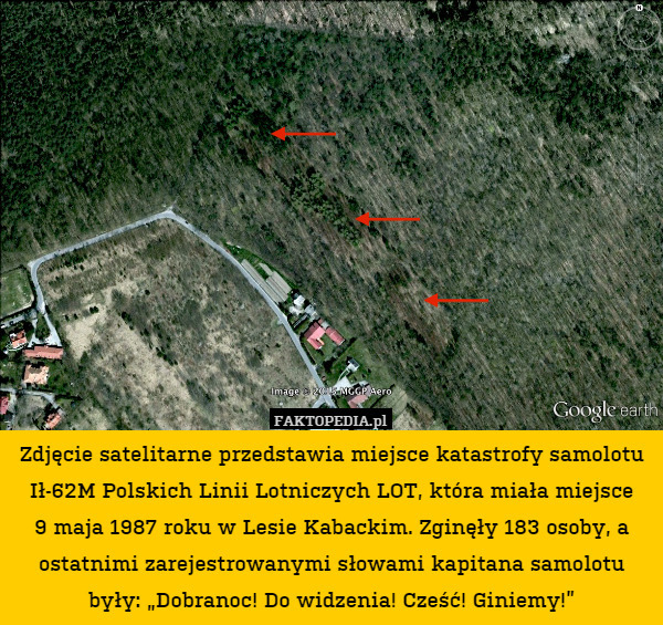 Zdjęcie satelitarne przedstawia miejsce katastrofy samolotu Ił-62M Polskich