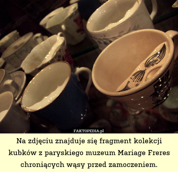 Na zdjęciu znajduje się fragment kolekcji kubków z paryskiego muzeum Mariage