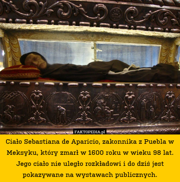 Ciało Sebastiana de Aparicio, zakonnika z Puebla w Meksyku, który zmarł