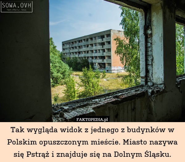 Tak wygląda widok z jednego z budynków w Polskim opuszczonym mieście. Miasto