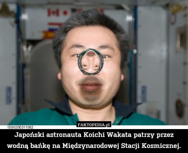 Japoński astronauta Koichi Wakata patrzy przez wodną bańkę na Międzynarodowej