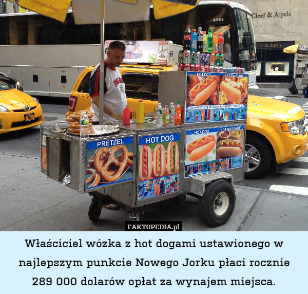 Właściciel wózka z hot dogami ustawionego najlepszym punkcie Nowego Jorku