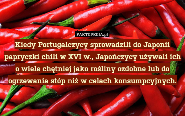 Kiedy Portugalczycy sprowadzili do Japonii papryczki chili w XVI w., Japończycy