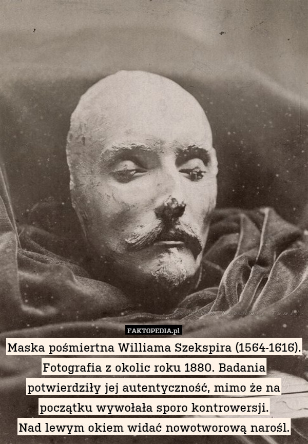 Maska pośmiertna Williama Szekspira (1564-1616). Fotografia z okolic roku