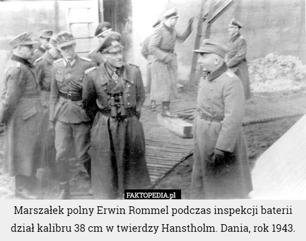 Marszałek polny Erwin Rommel podczas inspekcji baterii dział kalibru...