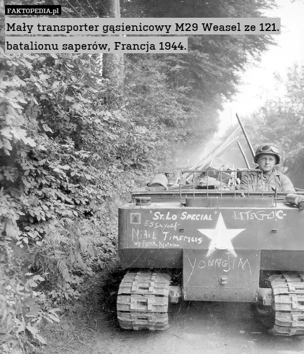 Mały transporter gąsienicowy M29 Weasel ze 121. batalionu saperów, Francja
