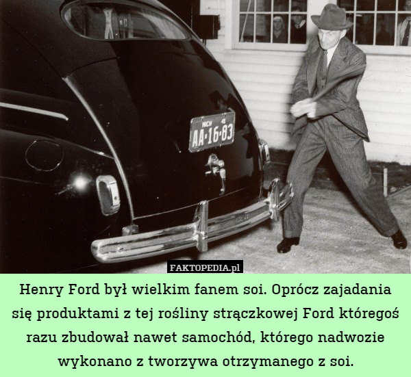 Henry Ford był wielkim fanem soi. Oprócz zajadania się produktami z tej