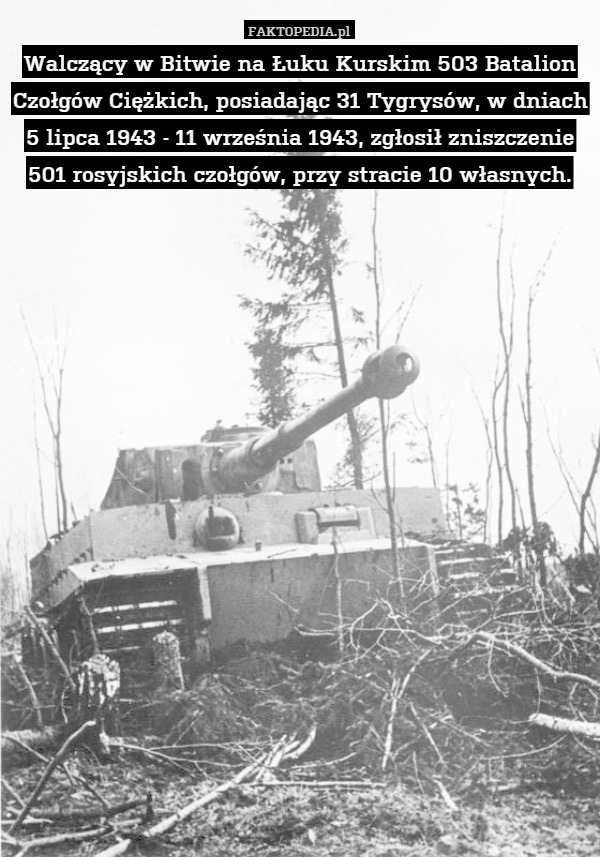 Walczący w Bitwie na Łuku Kurskim 503 Batalion Czołgów Ciężkich, posiadając