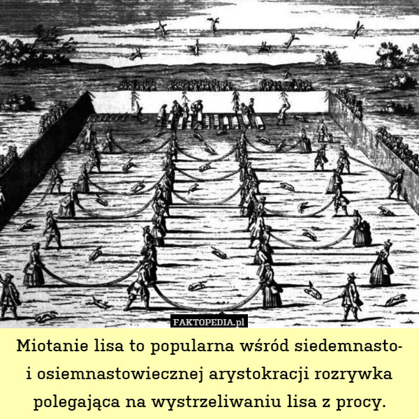 Miotanie lisa to popularna wśród siedemnasto-i osiemnastowiecznej arystokracji