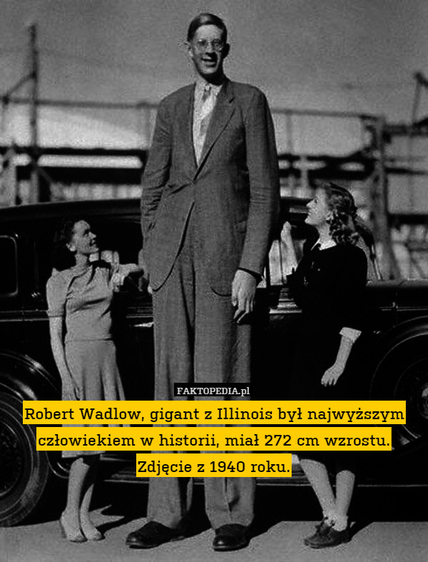 Robert Wadlow, gigant z Illinois był najwyższym człowiekiem w historii,