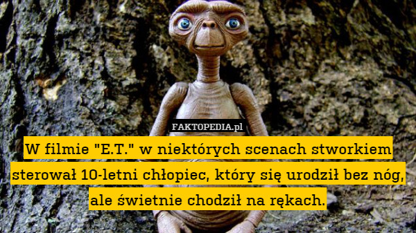 W filmie "E.T." w niektórych scenach stworkiem sterował 10-letni