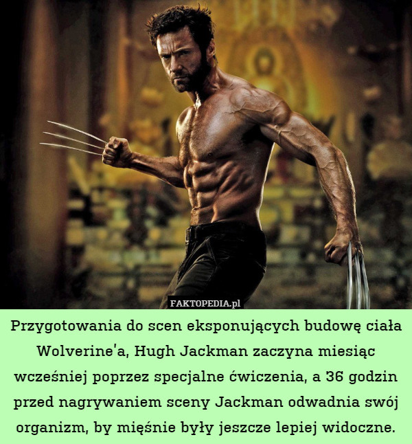 Przygotowania do scen eksponujących budowę ciała Wolverine’a, Hugh Jackman