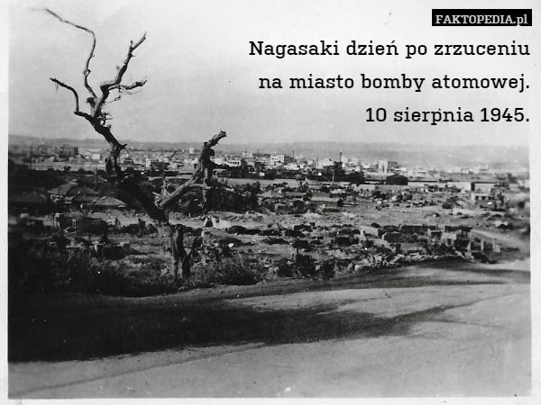 Nagasaki dzień po zrzuceniuna miasto bomby atomowej.10 sierpnia 1945.