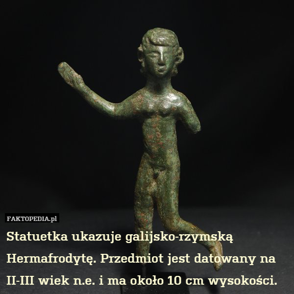 Statuetka ukazuje galijsko-rzymską Hermafrodytę. Przedmiot jest datowany