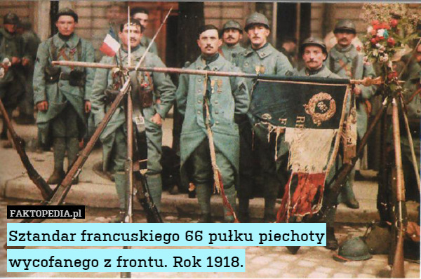 Sztandar francuskiego 66 pułku piechoty wycofanego z frontu. Rok 1918.