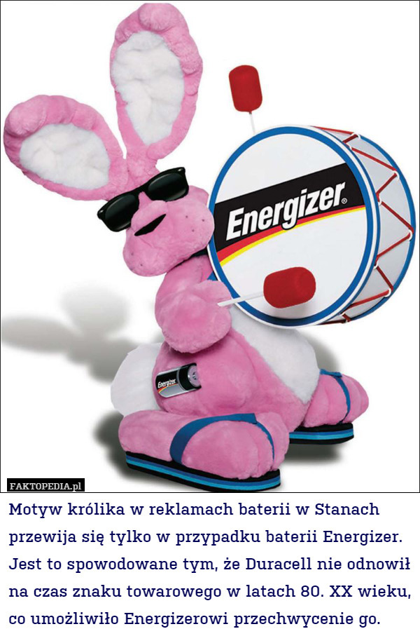 Motyw królika w reklamach baterii w Stanach przewija się tylko w przypadku