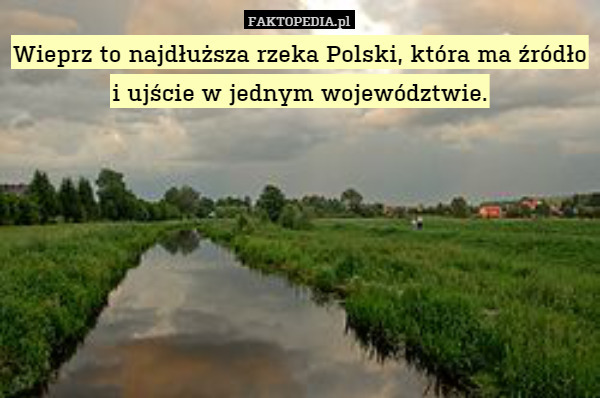 Wieprz to najdłuższa rzeka Polski, która ma źródło i ujście w jednym województwie