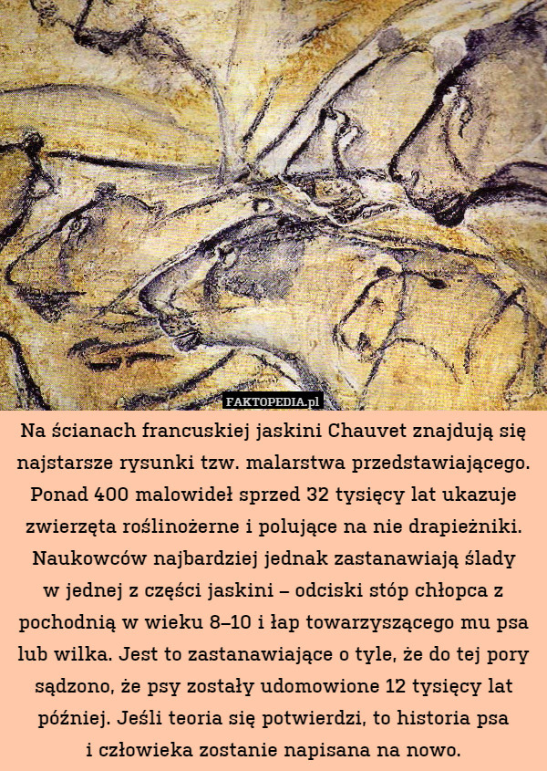 Na ścianach francuskiej jaskini Chauvet znajdują się najstarsze rysunki