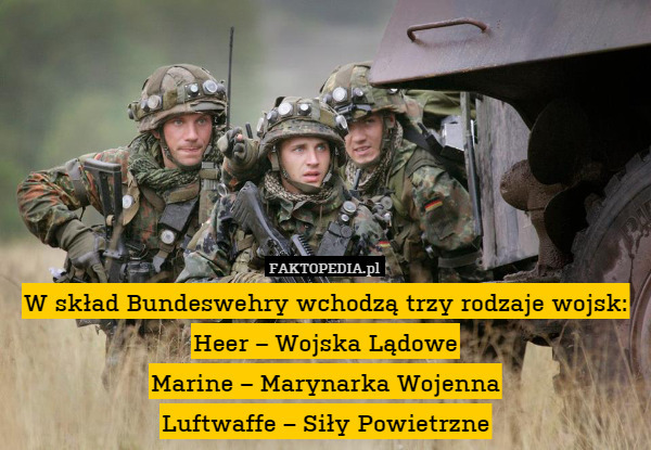 W skład Bundeswehry wchodzą trzy rodzaje wojsk:
Heer – Wojska Lądowe
Marine