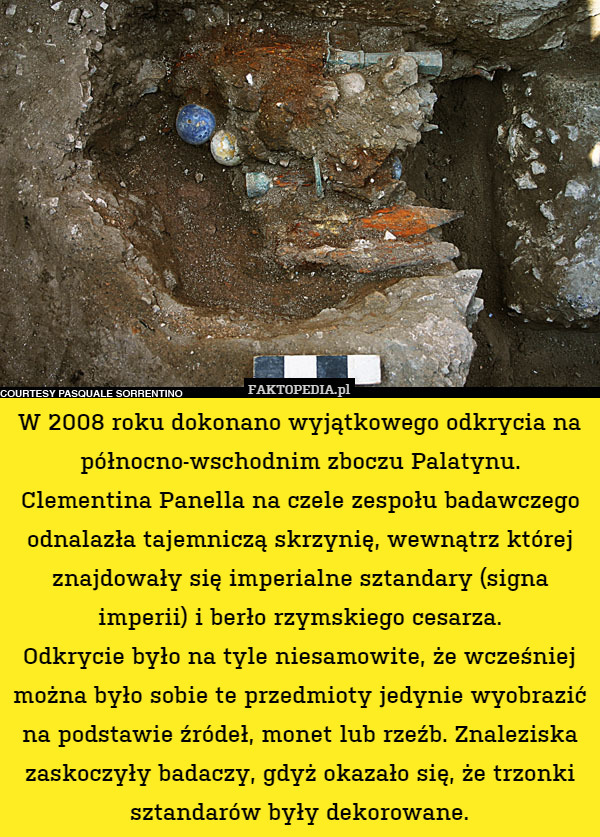 W 2008 roku dokonano wyjątkowego odkrycia na północno-wschodnim zboczu Palatynu.