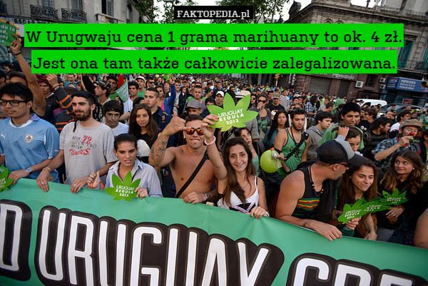W Urugwaju cena 1 grama marihuany to ok. 4 zł.Jest ona tam także całkowicie