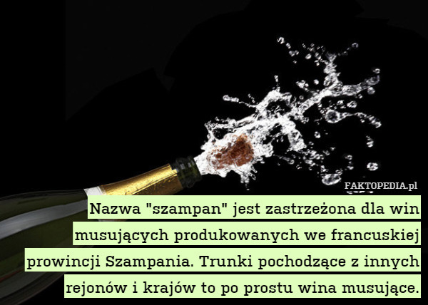 Nazwa "szampan" jest zastrzeżona dla win musujących produkowanych