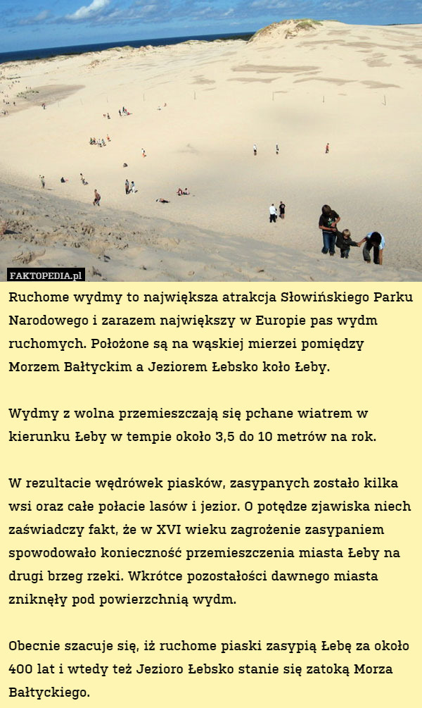 Ruchome wydmy to największa atrakcja Słowińskiego Parku Narodowego i zarazem