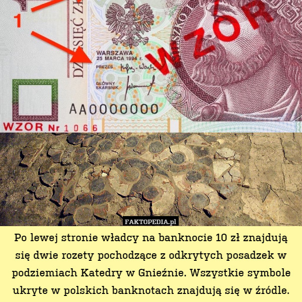 Po lewej stronie władcy na banknocie 10 zł znajdują się dwie rozety pochodzące