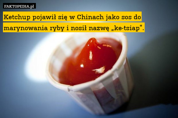 Ketchup pojawił się w Chinach jako sos do marynowania ryby i nosił nazwę