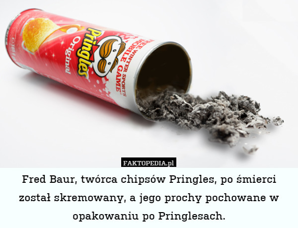 Fred Baur, twórca chipsów Pringles, po śmierci został skremowany, a jego
