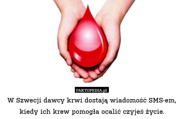 W Szwecji dawcy krwi dostają wiadomość SMS-em, kiedy ich krew pomogła ocalić