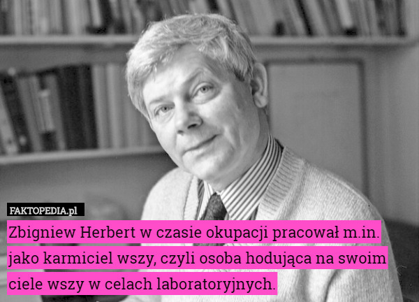 Zbigniew Herbert w czasie okupacji pracował m.in. jako karmiciel wszy, czyli