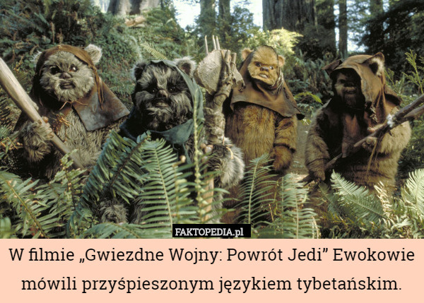 W filmie „Gwiezdne Wojny: Powrót Jedi” Ewokowie mówili przyśpieszonym językiem