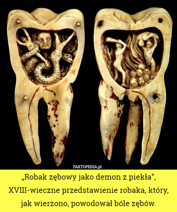 „Robak zębowy jako demon z piekła”, XVIII-wieczne przedstawienie robaka,