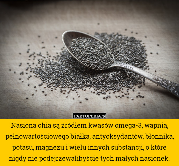 Nasiona chia są źródłem kwasów omega-3, wapnia, pełnowartościowego białka,