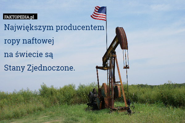 Największym producentemropy naftowejna świecie sąStany Zjednoczone.