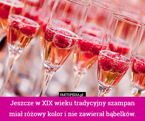 Jeszcze w XIX wieku tradycyjny szampan miał różowy kolor i nie zawierał
