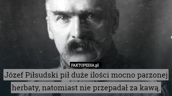 Józef Piłsudski pił duże ilości mocno parzonej herbaty, natomiast nie przepadał