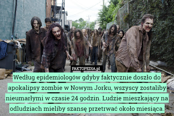 Według epidemiologów gdyby faktycznie doszło do apokalipsy zombie w Nowym