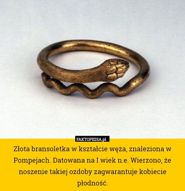 Złota bransoletka w kształcie węża, znaleziona w Pompejach. Datowana na