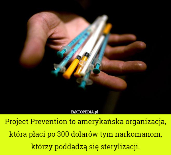 Project Prevention to amerykańska organizacja, która płaci po 300 dolarów