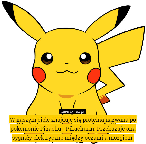 W naszym ciele znajduje się proteina nazwana po pokemonie Pikachu - Pikachurin.